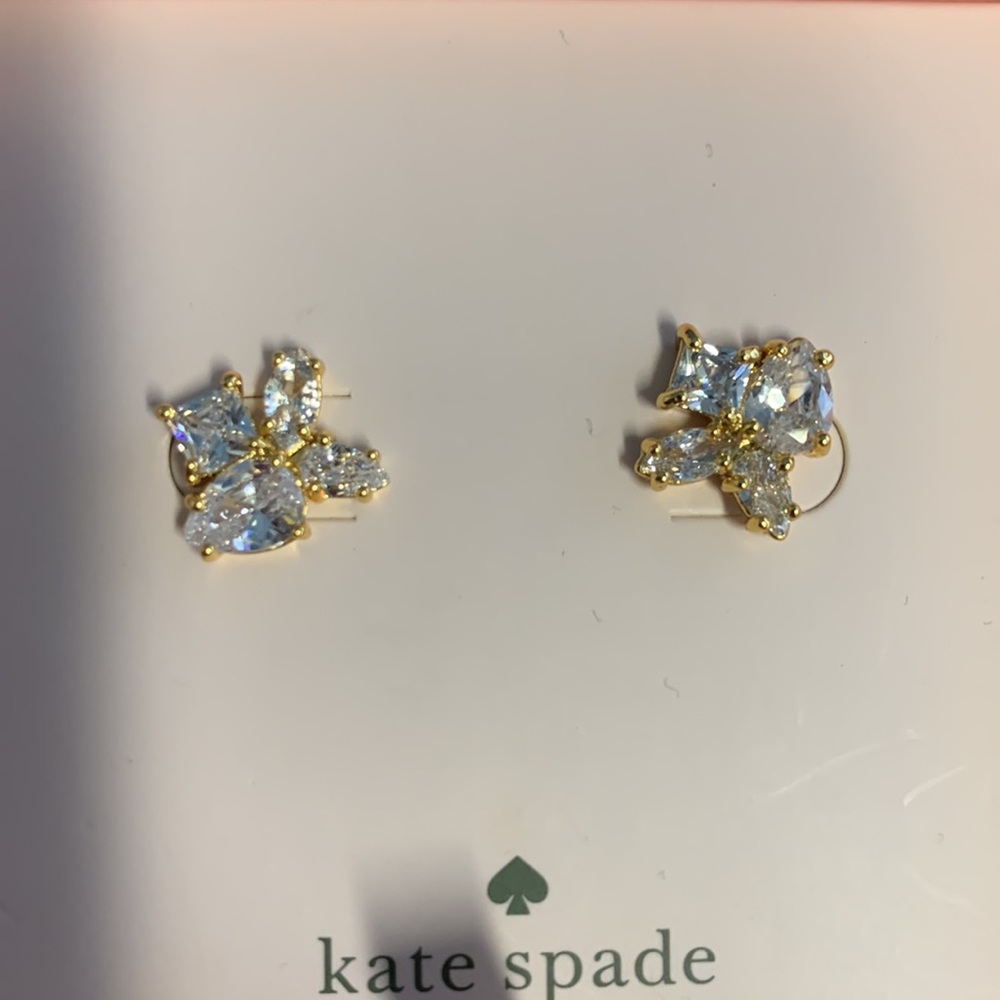 NWT Kate Spade flying colors cluster earrings